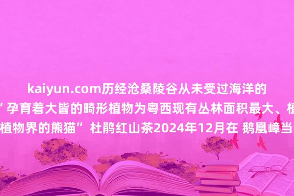 kaiyun.com历经沧桑陵谷从未受过海洋的侵袭这里仿佛一个“宝库”孕育着大皆的畸形植物为粤西现有丛林面积最大、植被保护最佳的地区“植物界的熊猫” 杜鹃红山茶2024年12月在 鹅凰嶂当然保护区东南沿麓的阳西县塘口镇山溪中发现了一个新物种阳江川苔草这是首个以阳江定名的植物全国川苔草属植物“族谱”再添一个新成员阳江川苔草恶果 陈国棣 刘修霆 摄城市发展离不开生态环境的相沿和保险而细致的生态环境等于